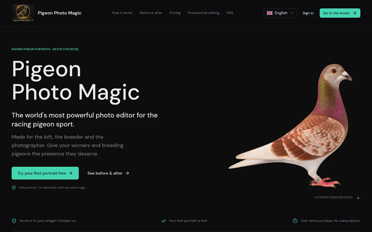 Screenshot of pigeonphotomagic.com