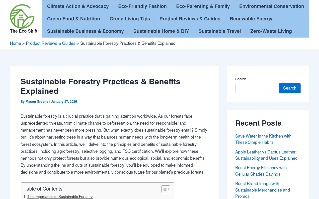 Screenshot of theecoshift.com
