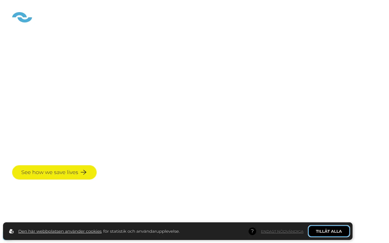 Screenshot of sarsys-asft.com