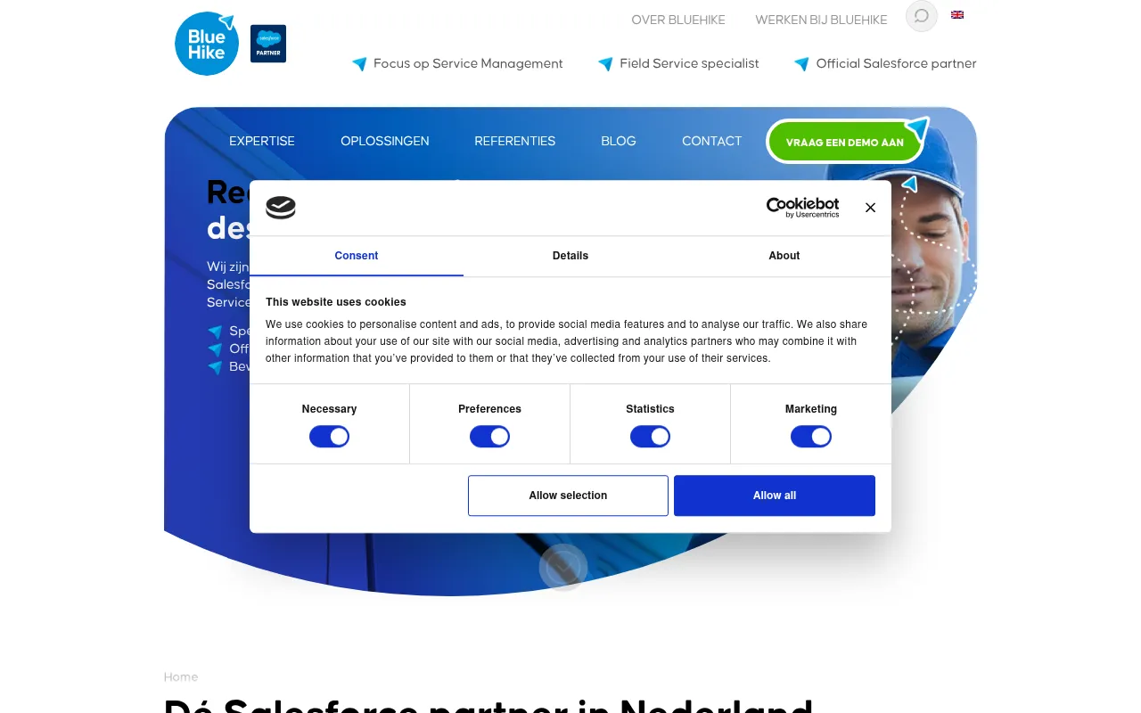 Screenshot of bluehike.com