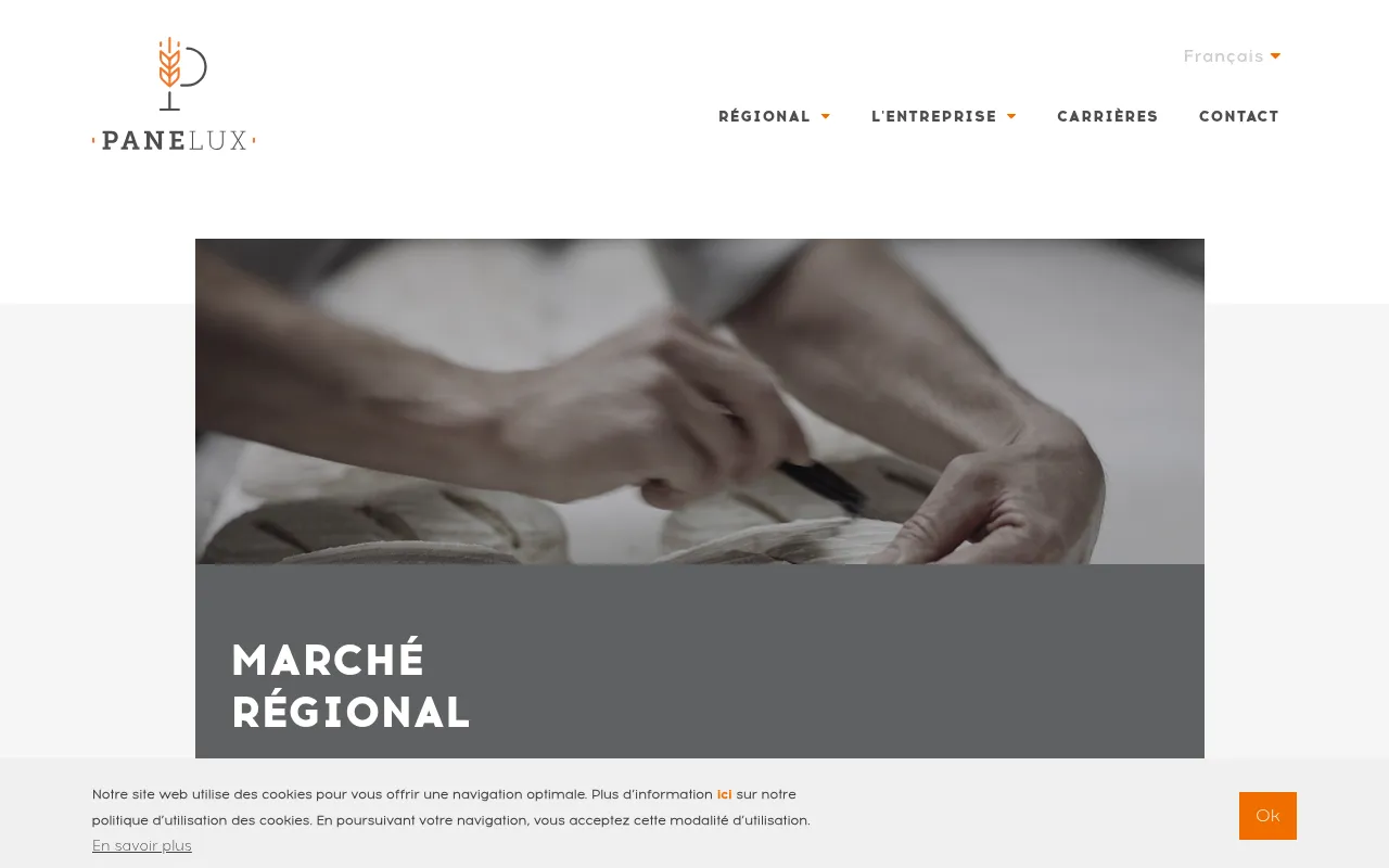 Screenshot of panelux.com