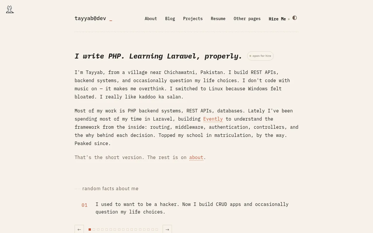Screenshot of tayyib.is-a.dev