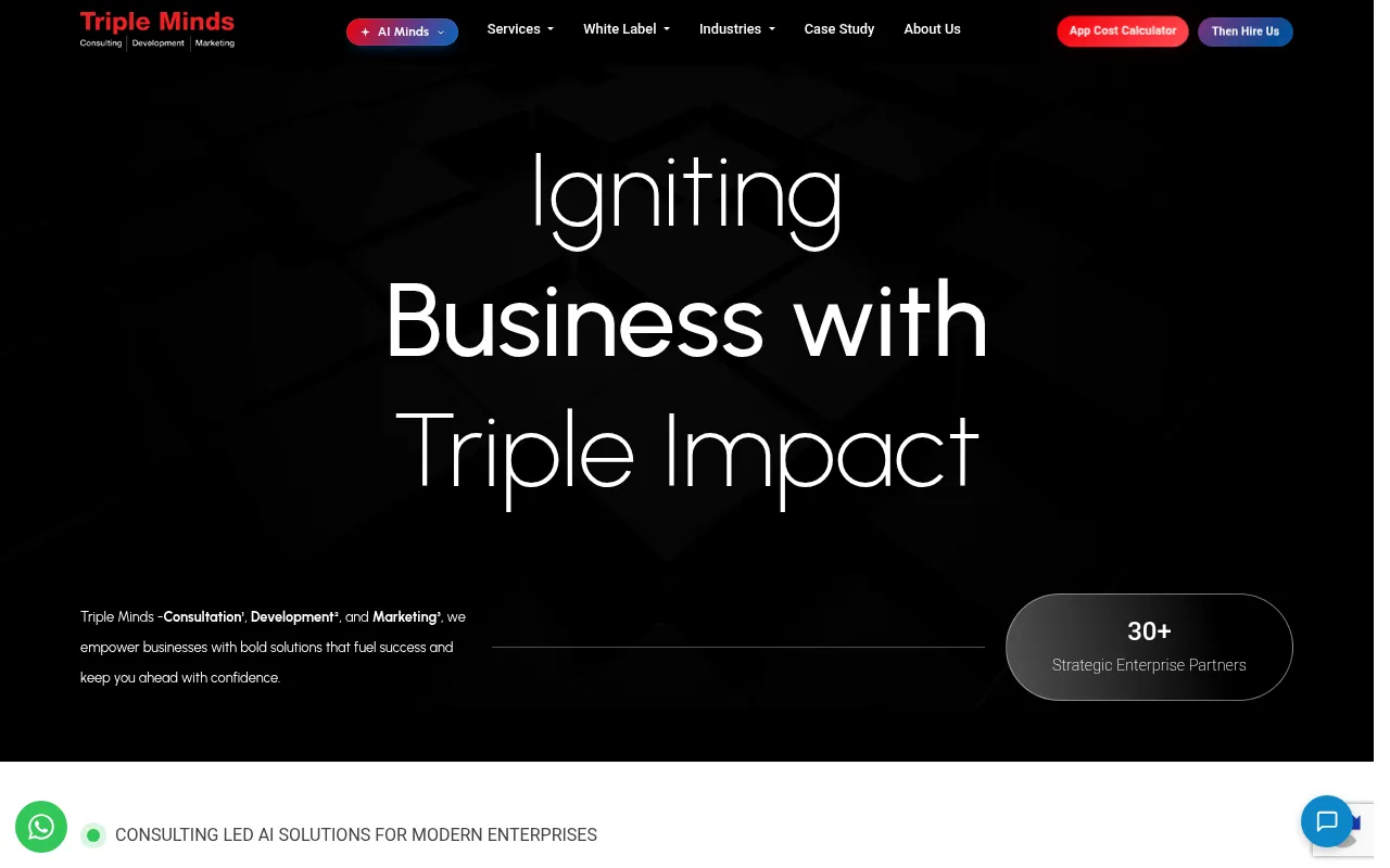 Screenshot of tripleminds.co