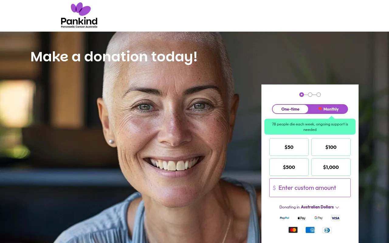 Screenshot of pankind-donate.raiselysite.com