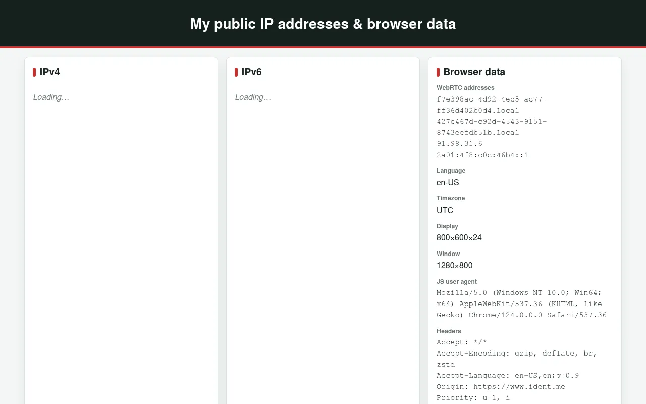 Screenshot of ident.me