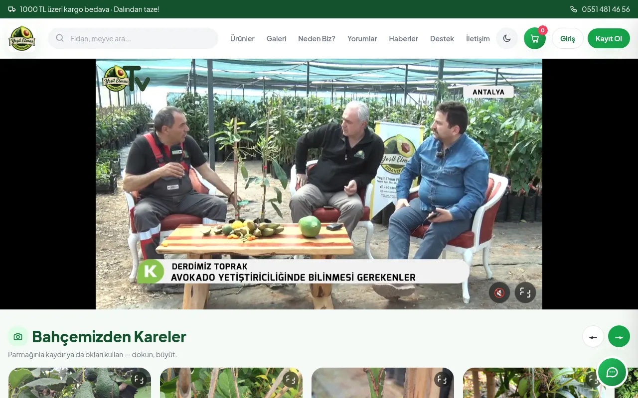 Screenshot of yesilelmasfidancilik.com.tr