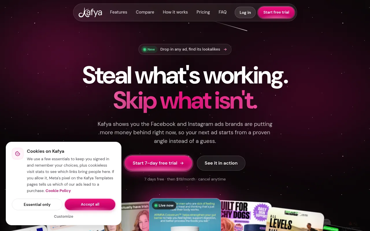 Screenshot of getkafya.com