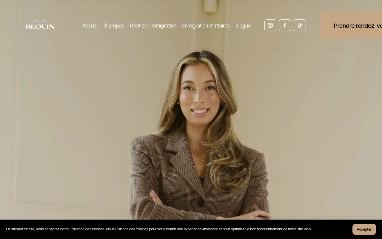 Screenshot of avocatimmigrationmontreal.ca