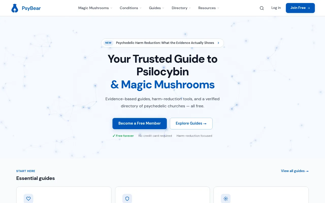 Screenshot of psybear.co