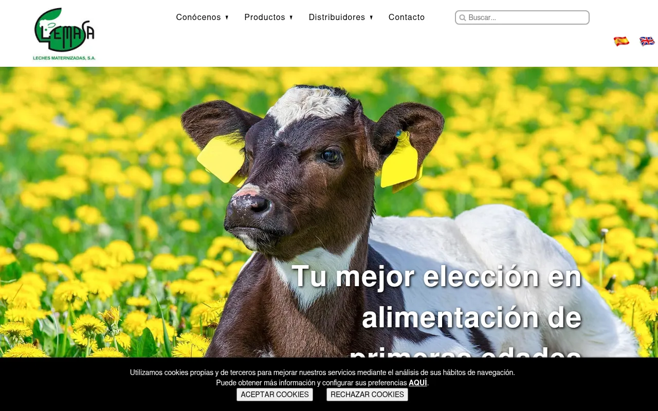 Screenshot of lemasa.es