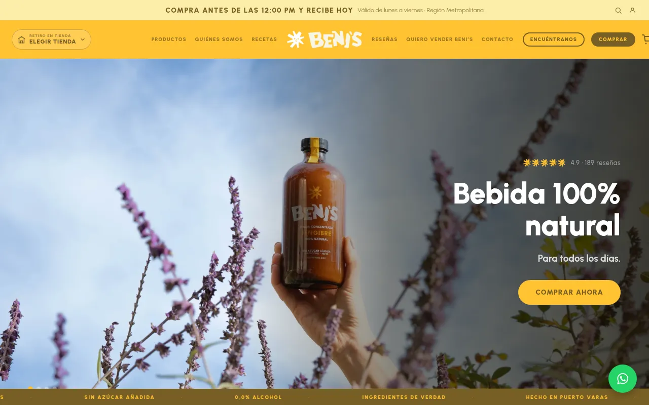 Screenshot of benis.cl