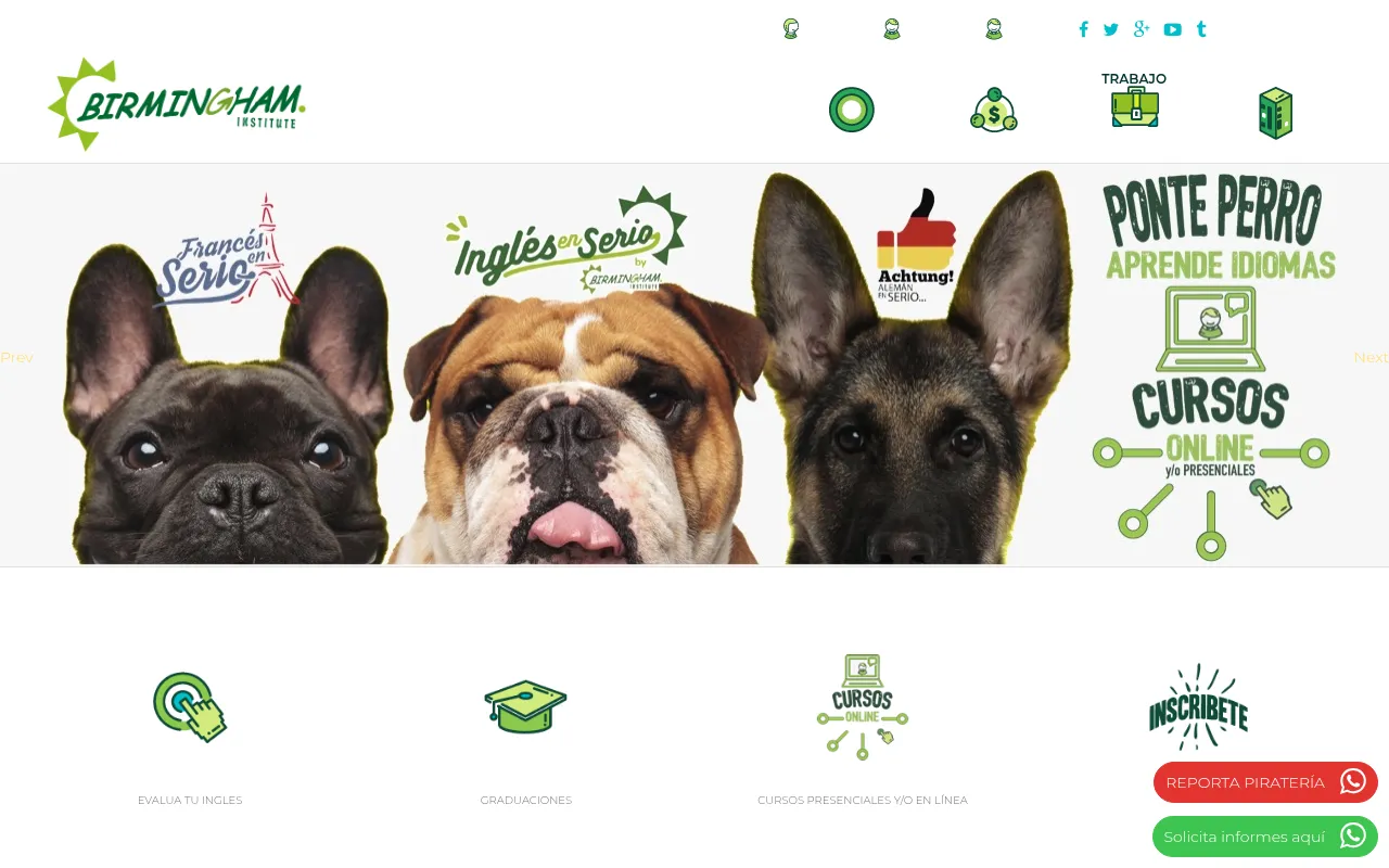Screenshot of birmingham-institute.com