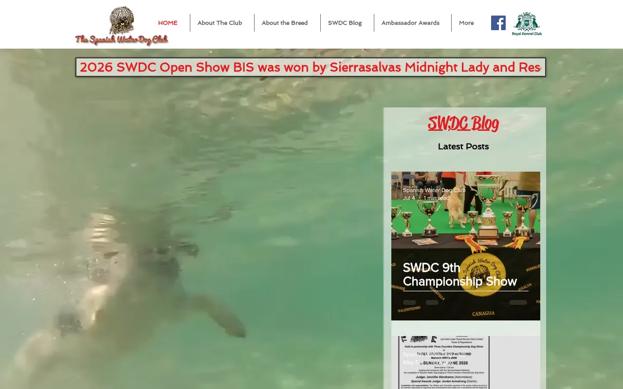 Screenshot of spanishwaterdogclub.co.uk