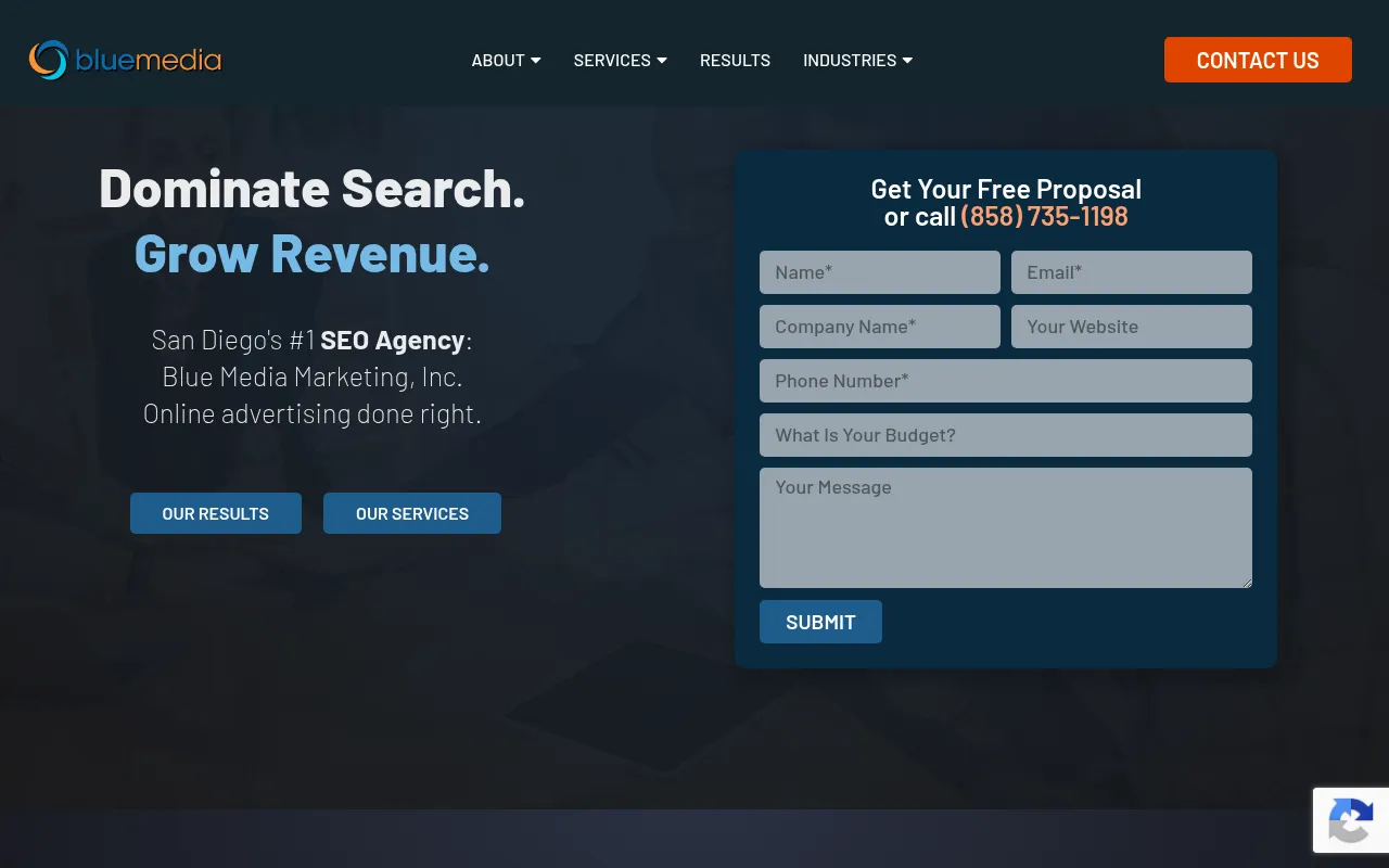 Screenshot of gobluemedia.com