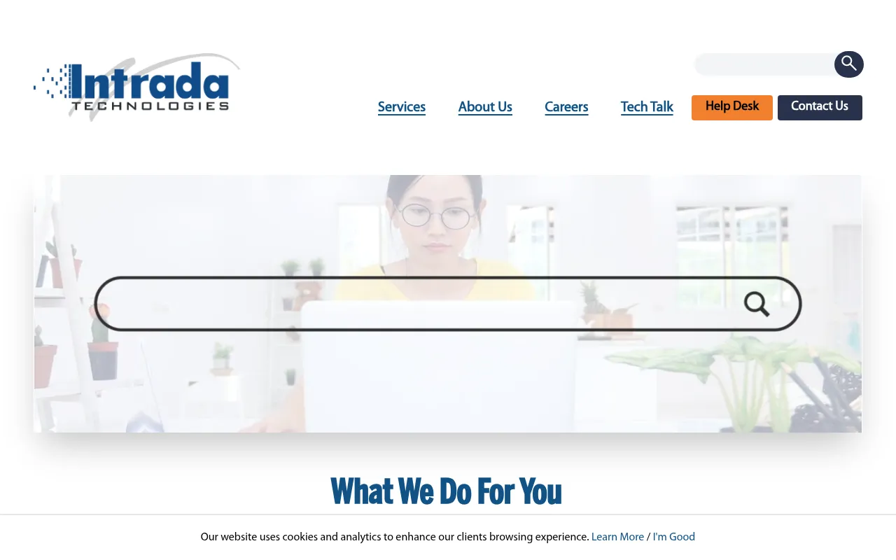 Screenshot of intradatech.com