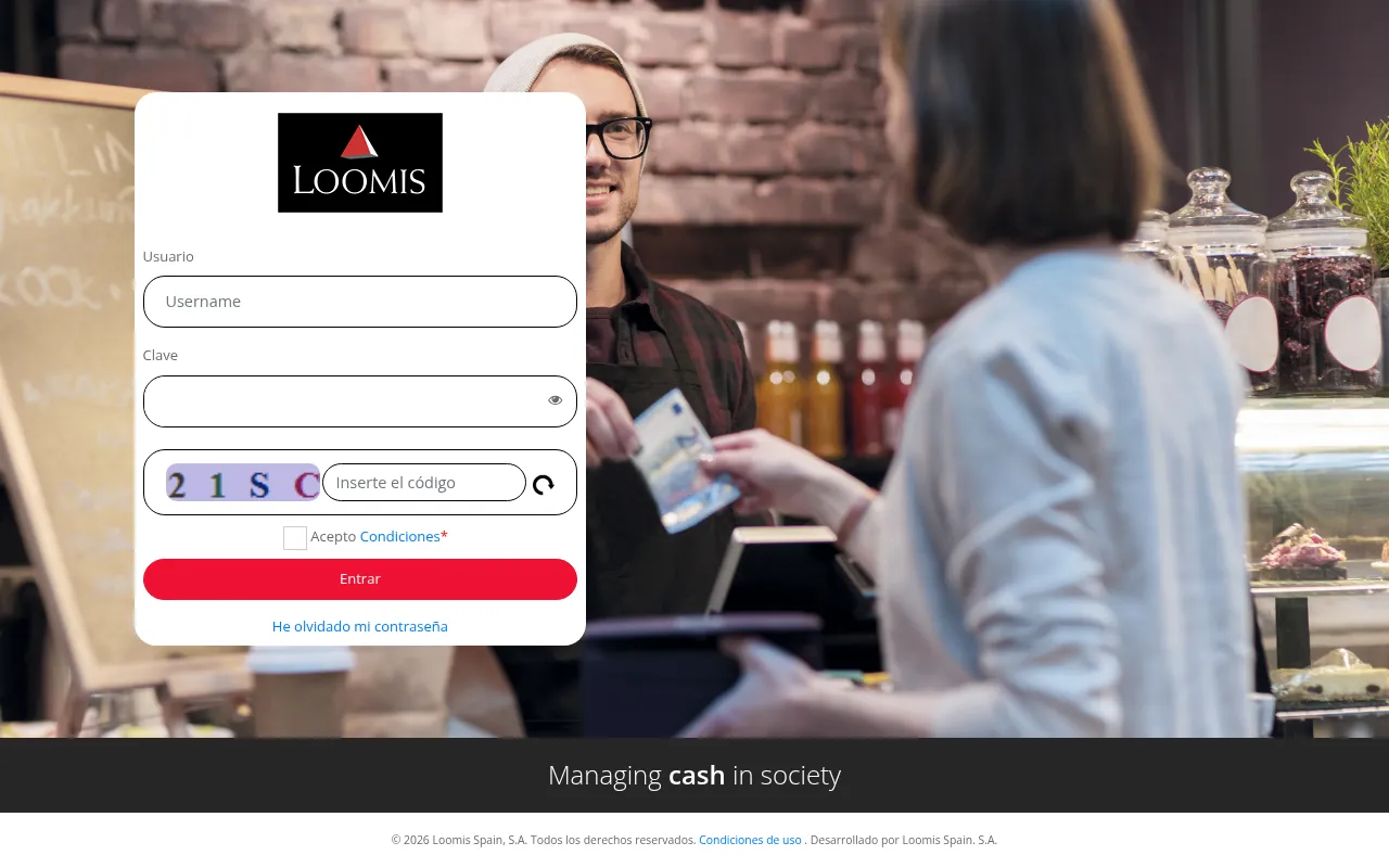 Screenshot of areaclientes.loomis.es