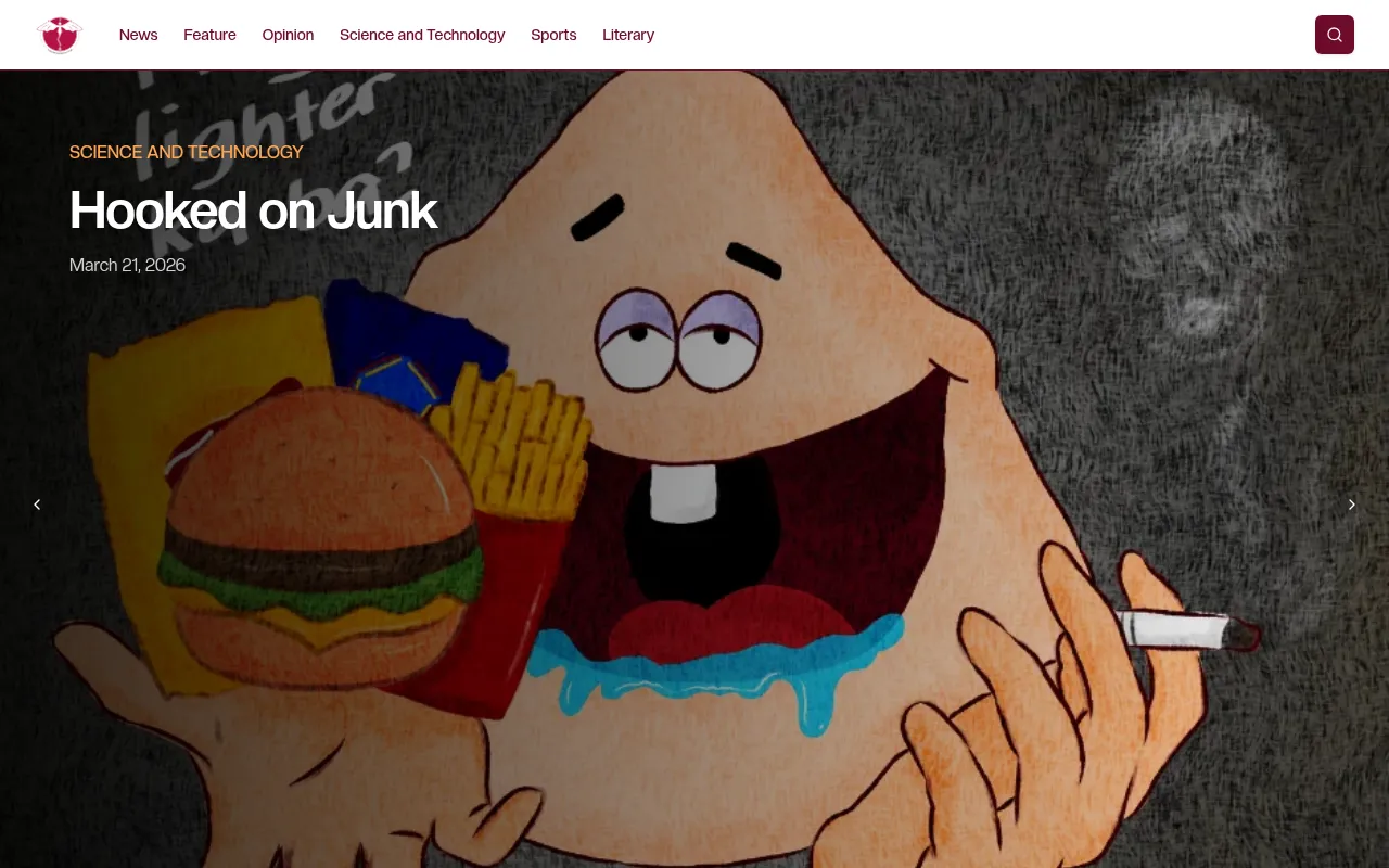 Screenshot of himigisko.com