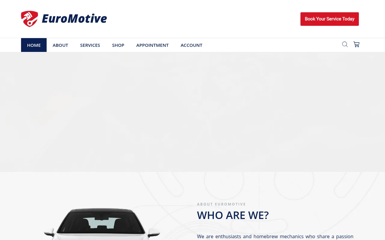 Screenshot of euromotivebh.com