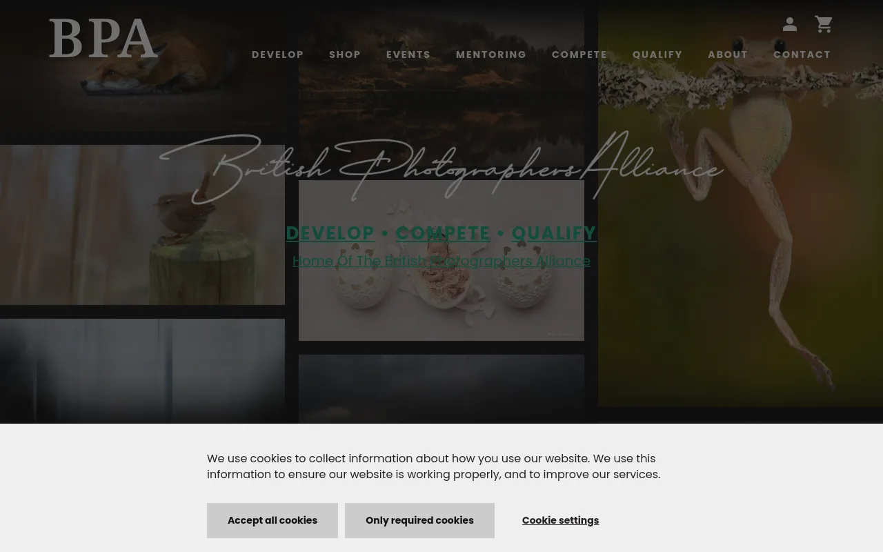 Screenshot of studiomasters.org