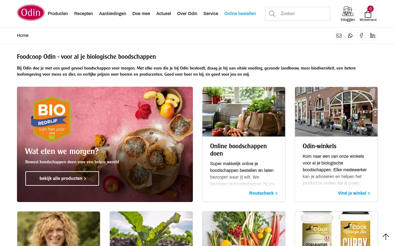 Screenshot of odin.nl