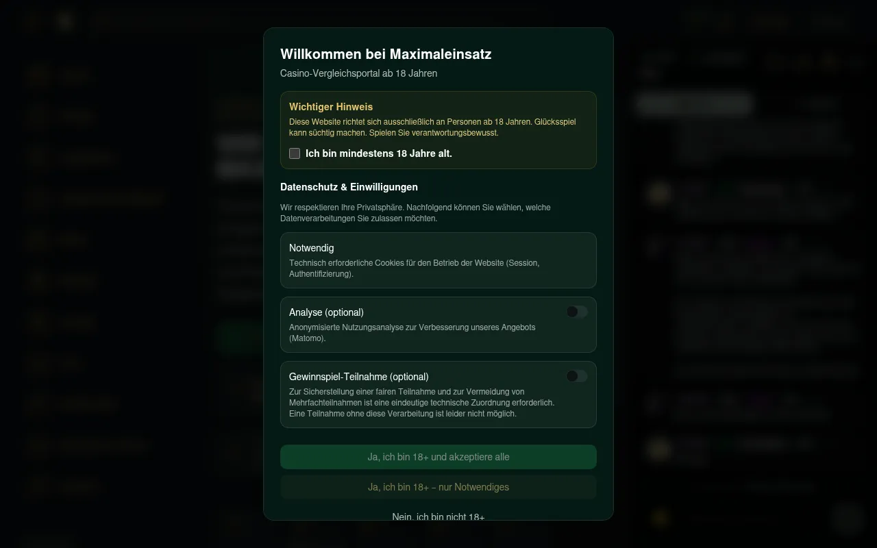 Screenshot of maximaleinsatz.com