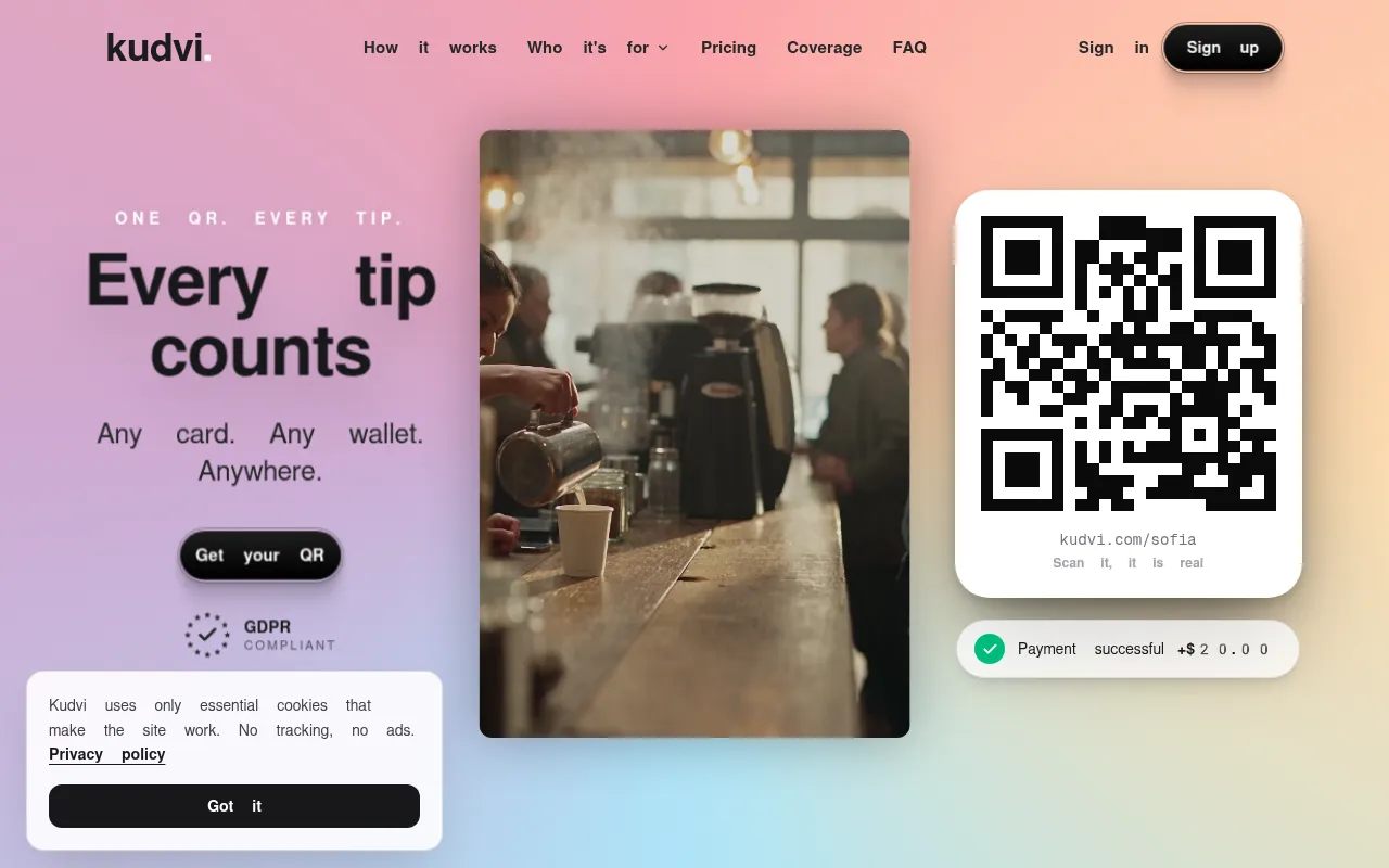 Screenshot of kudvi.com