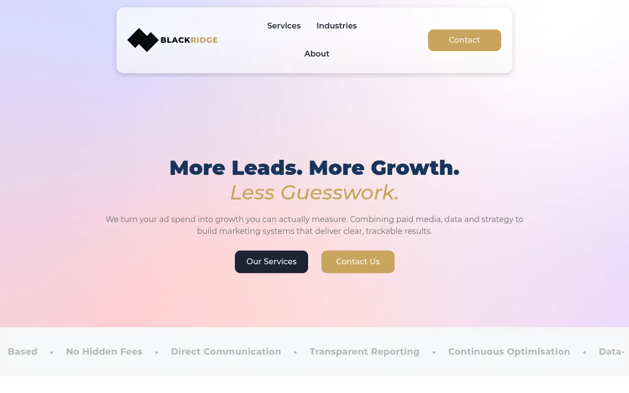 Screenshot of blackridgemarketing.co.uk