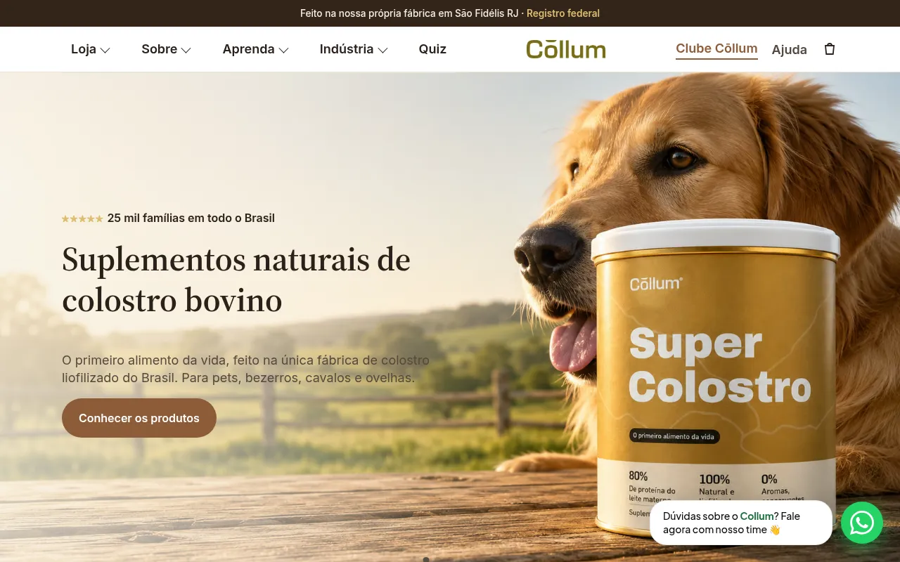 Screenshot of collum.com.br