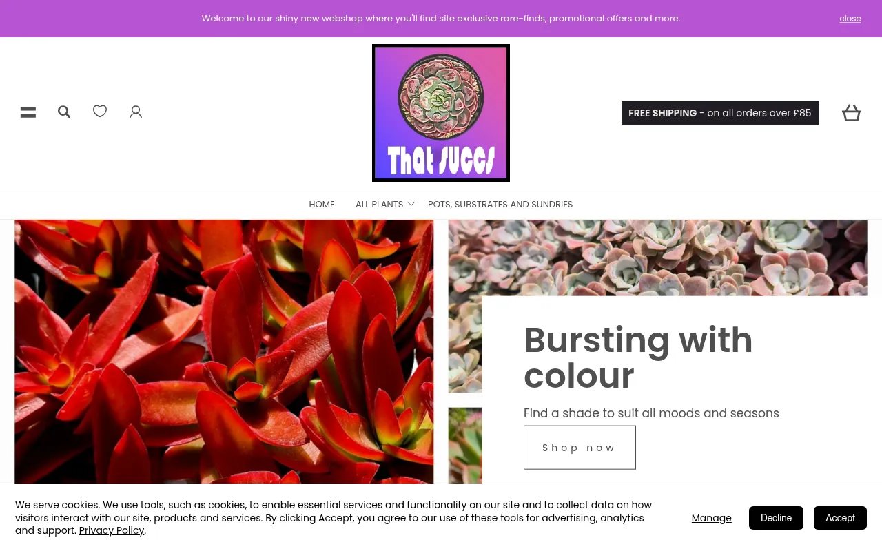Screenshot of thatsuccs.co.uk