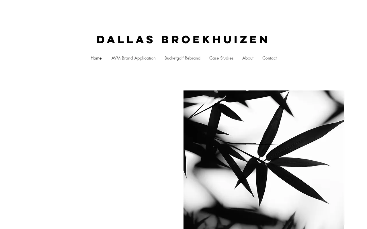 Screenshot of dallasbroek.com