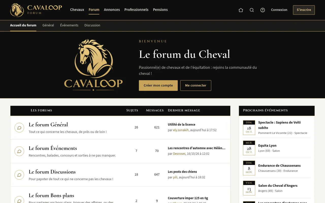 Screenshot of cavaloop.fr