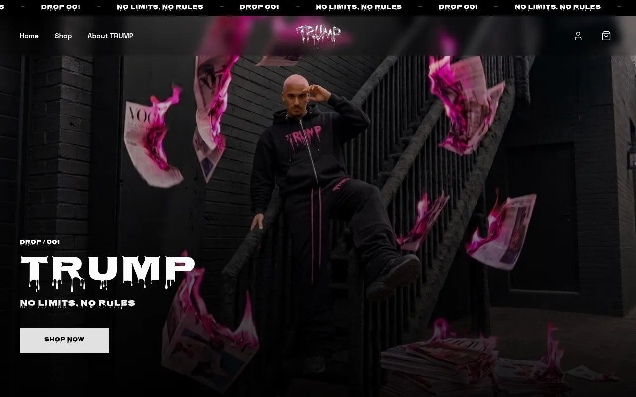 Screenshot of trump-website.vercel.app