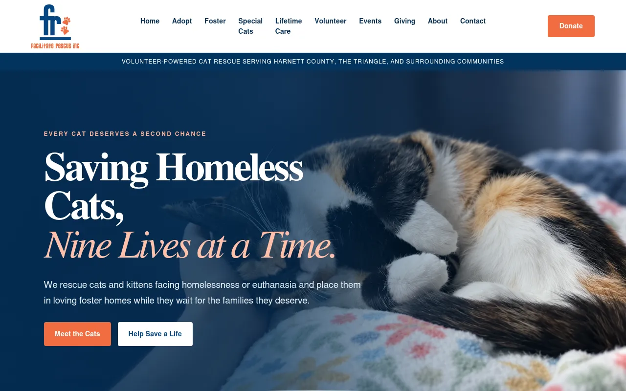 Screenshot of facilitaterescue.org