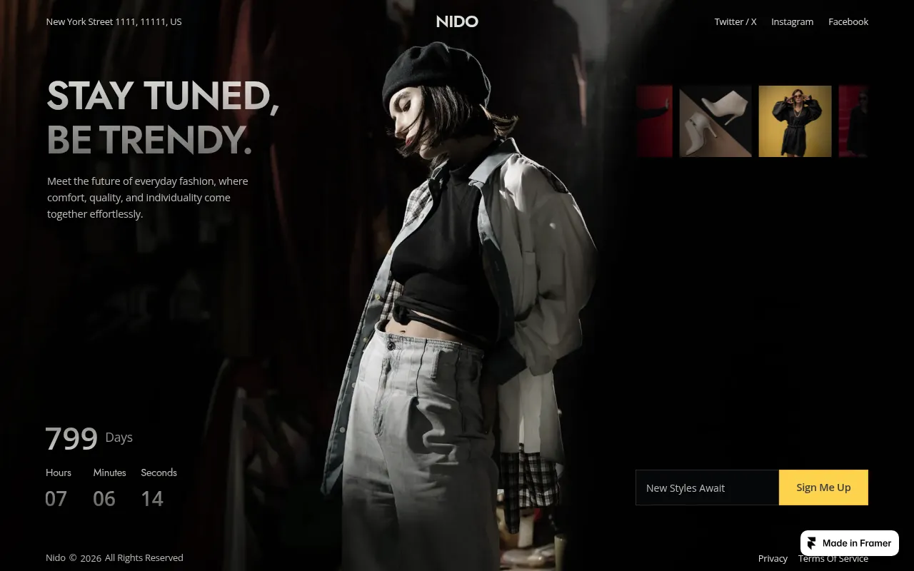 Screenshot of nido-demo.framer.website