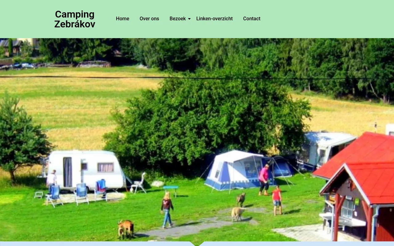 Screenshot of zebrakov.com