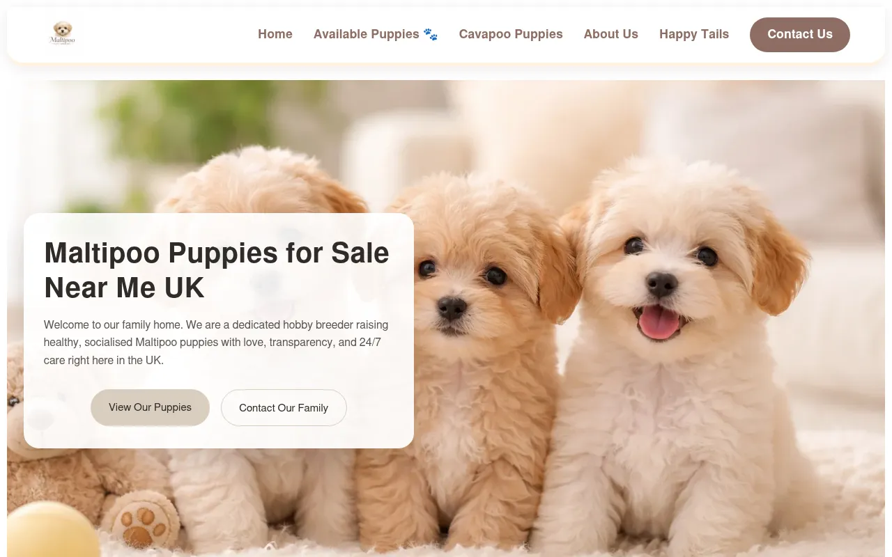 Screenshot of maltipoopuppiesuk.co.uk