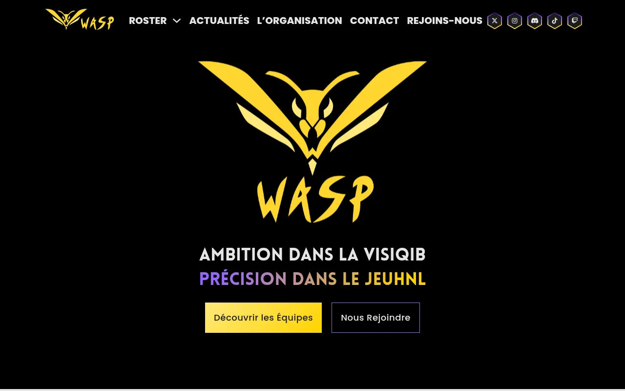 Screenshot of test.wasp-esport.fr