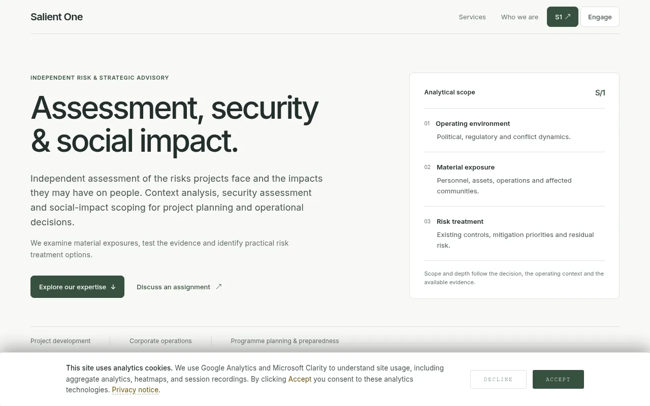 Screenshot of salientone.eu
