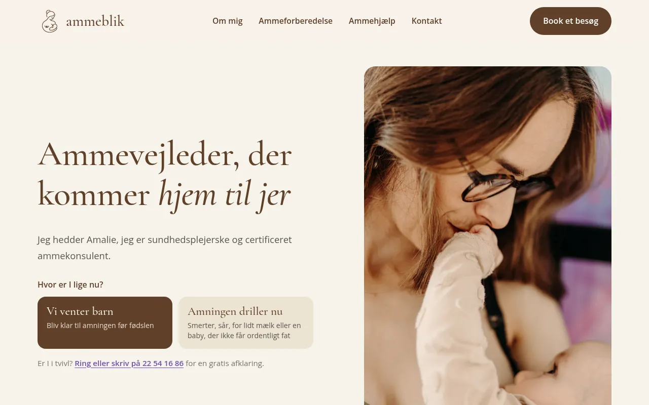Screenshot of ammeblik.dk