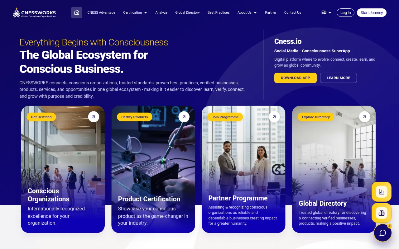 Screenshot of cnessworks.com