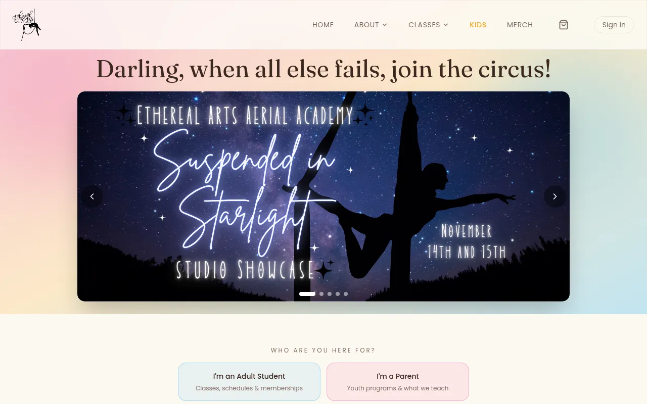Screenshot of etherealartsaerial.com