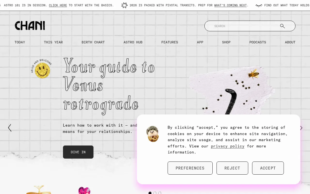 Screenshot of chani.com