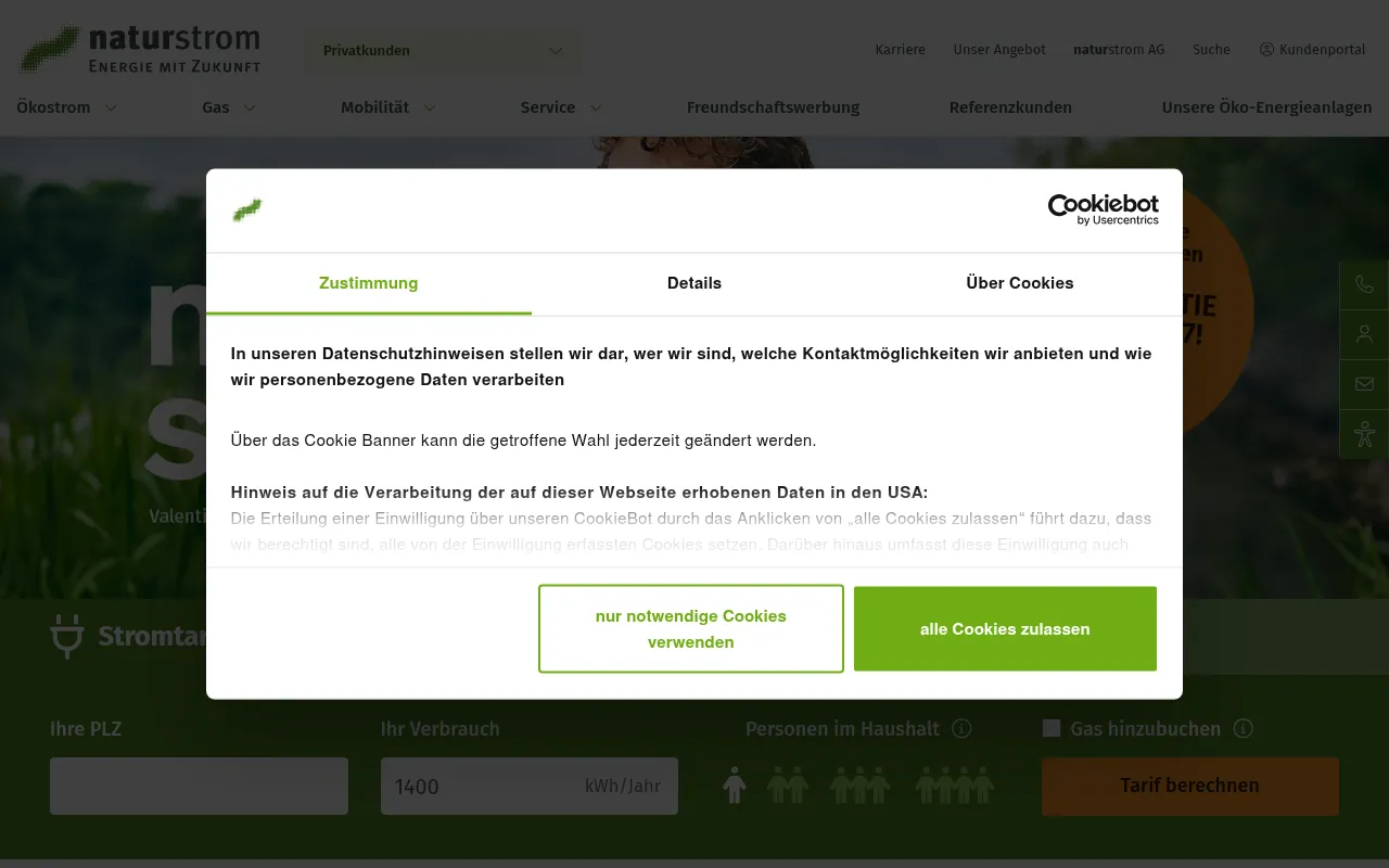 Screenshot of naturstrom.de