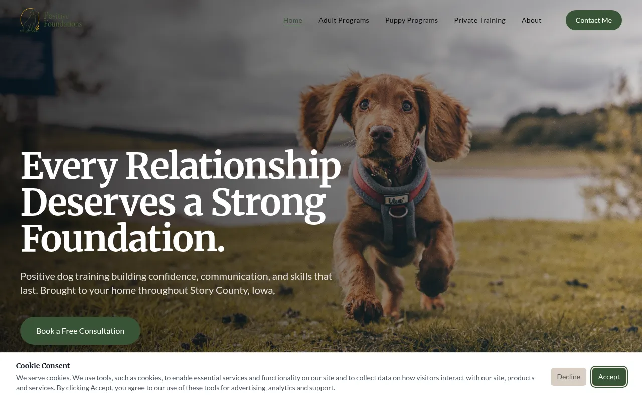 positivefoundationstraining.com screenshot
