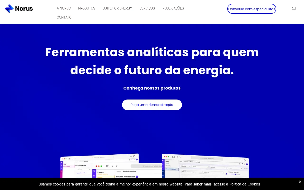 Screenshot of norus.com.br