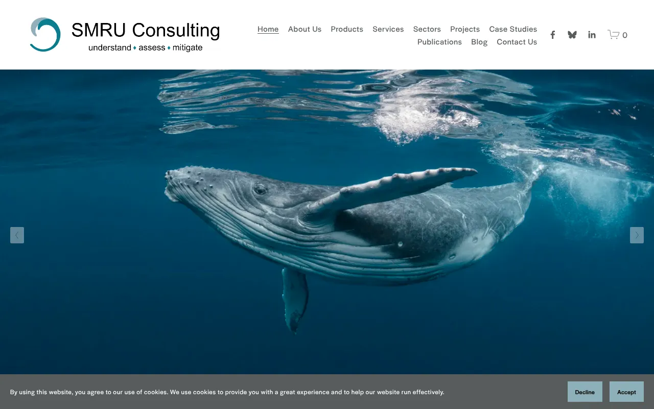 Screenshot of smruconsulting.com