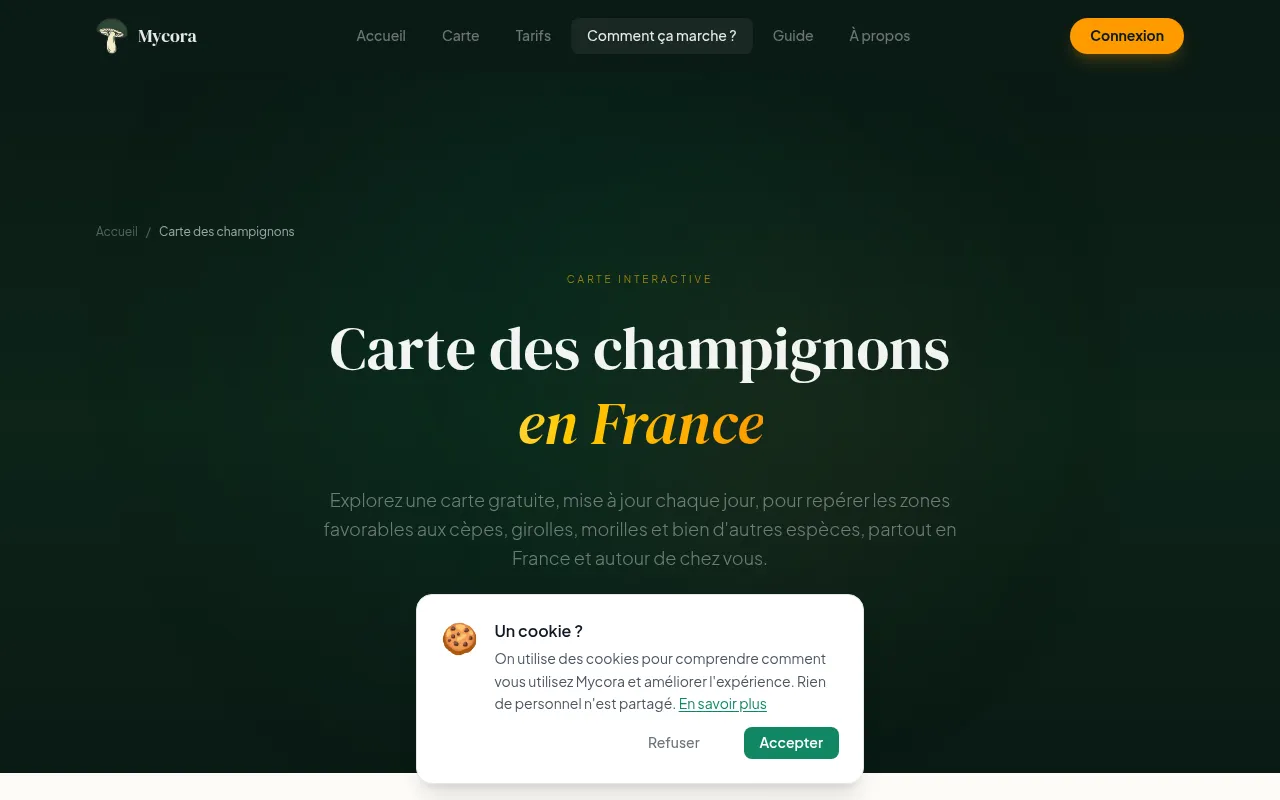 Screenshot of mycora.fr