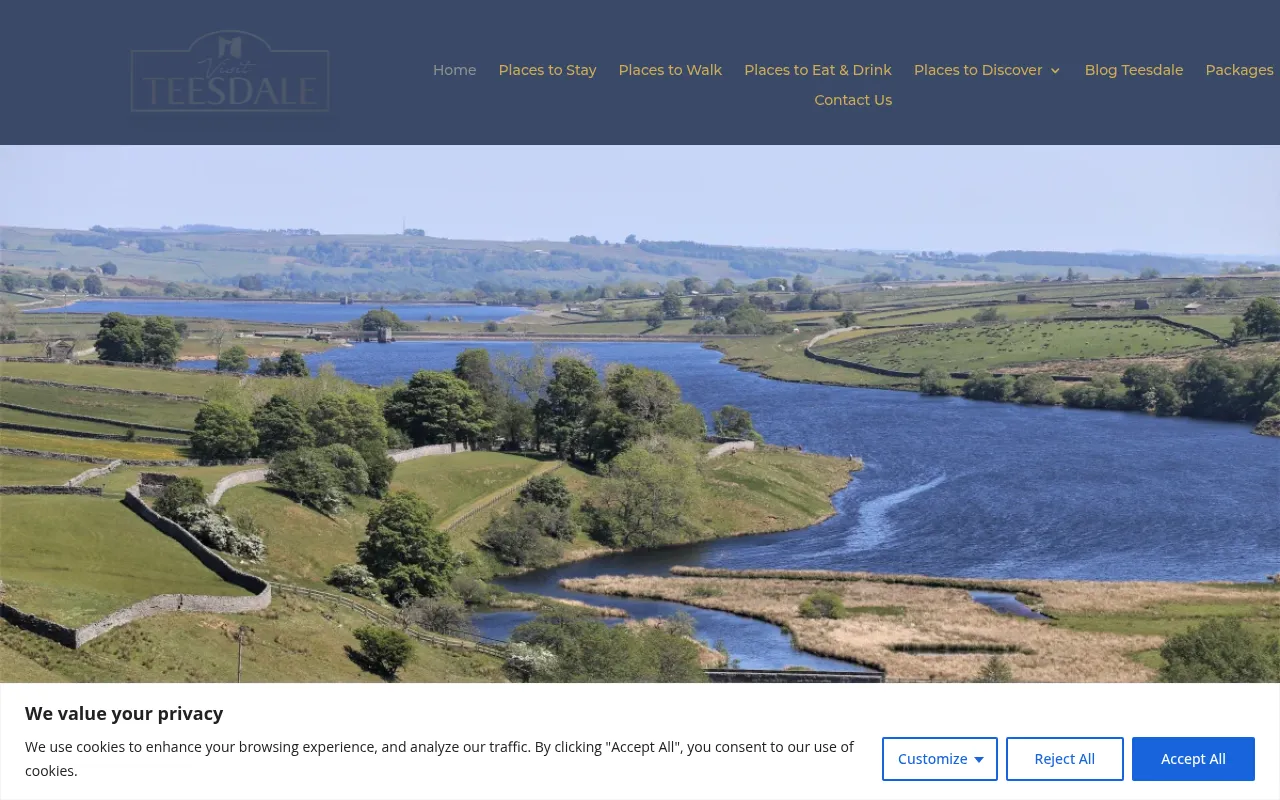 Screenshot of visitteesdale.com