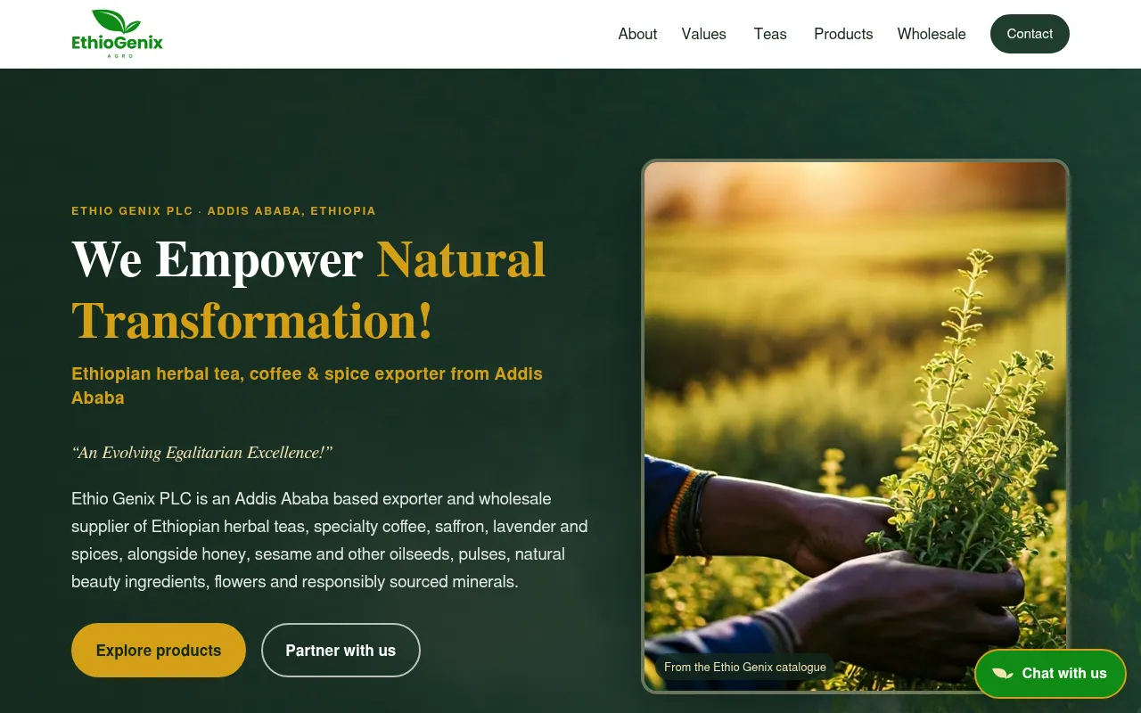 Screenshot of ethio-genix.com