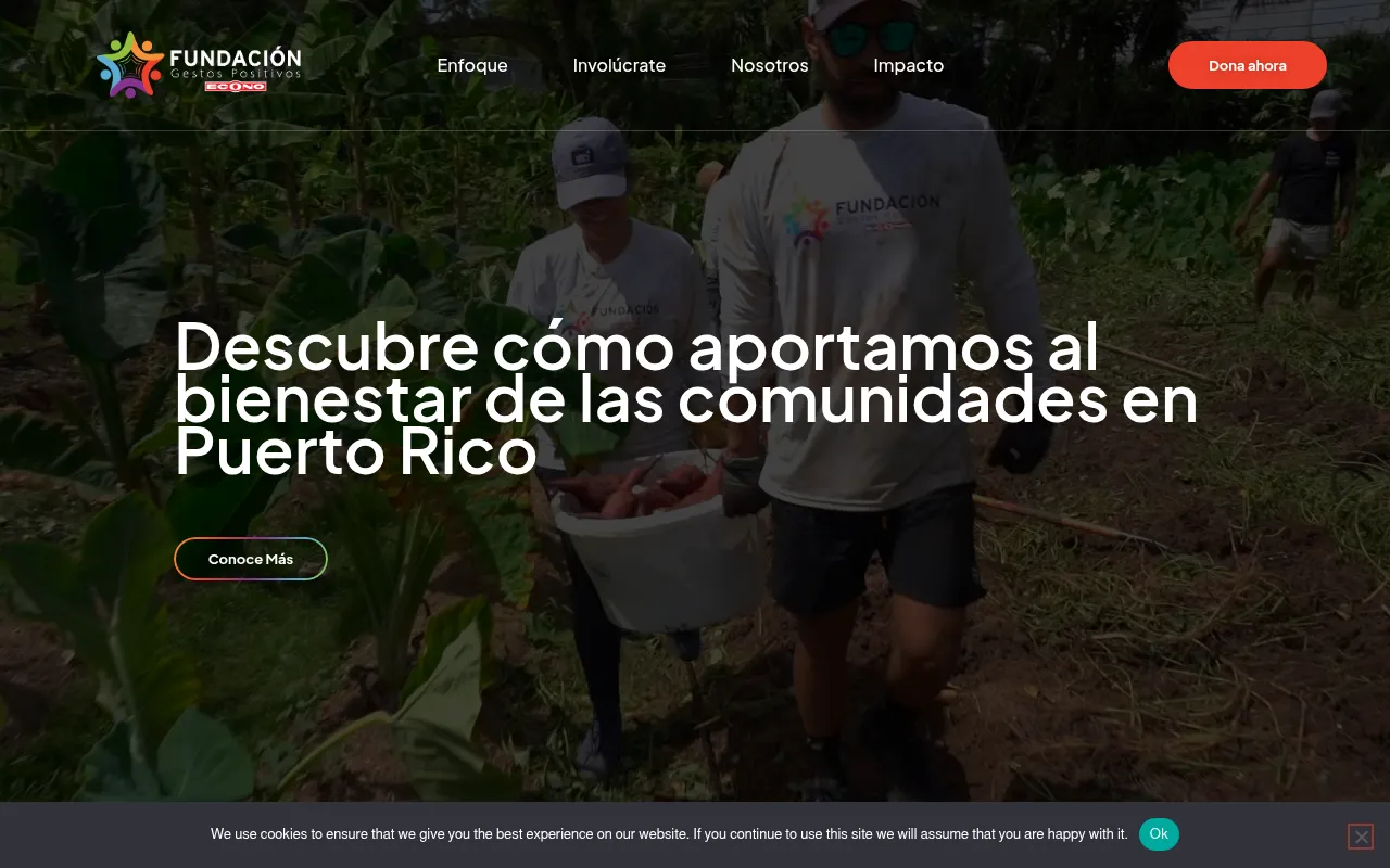 Screenshot of fundacionecono.org
